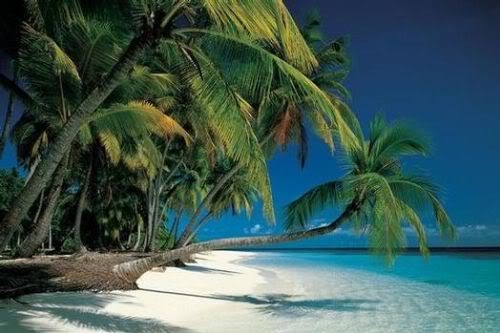 CRUCEROS PUERTO LIMON PLAYA COSTA RICA VIAJES DE NOVIOS OFERTAS